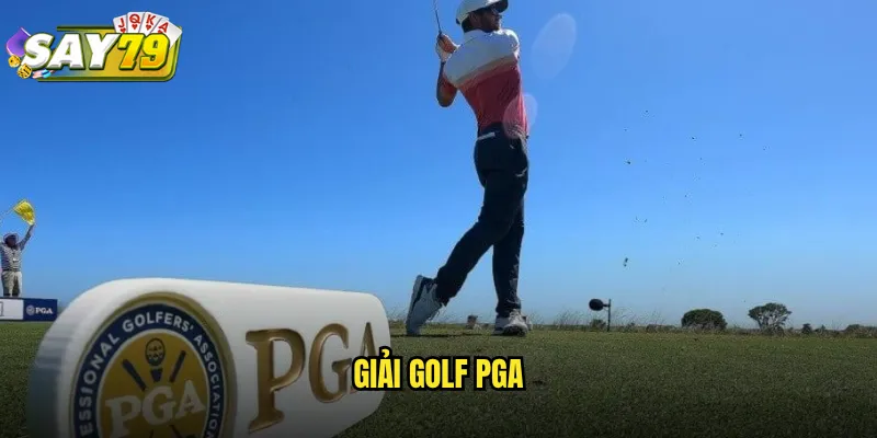 Giải Golf PGA say79 - Cá Cược Golf Chuyên Nghiệp Tỷ Lệ Hấp Dẫn 9 giải golf PGA