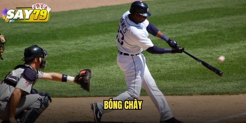Bóng Chày say79 - Cá Cược Baseball MLB Tỷ Lệ Hấp Dẫn Nhất 2 Bóng Chày