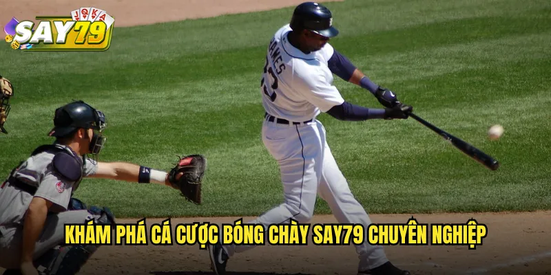 Bóng Chày say79 - Cá Cược Baseball MLB Tỷ Lệ Hấp Dẫn Nhất 2 Khám Phá Cá Cược Bóng Chày say79 Chuyên Nghiệp