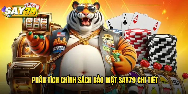 Phân tích chính sách bảo mật say79 chi tiết
